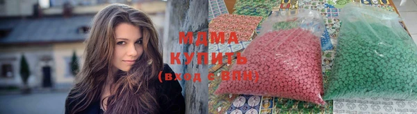 прущие грибы Волоколамск