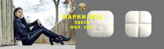 spice Горняк